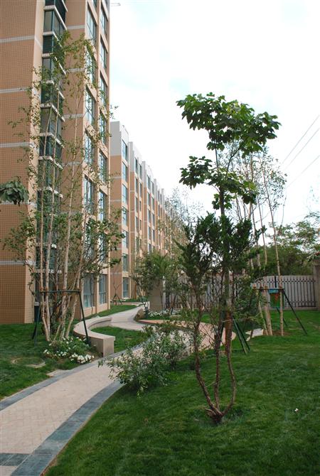 拉斯維加斯游戲3499嘉園二期局部景觀雛形鑒賞（親景實拍）