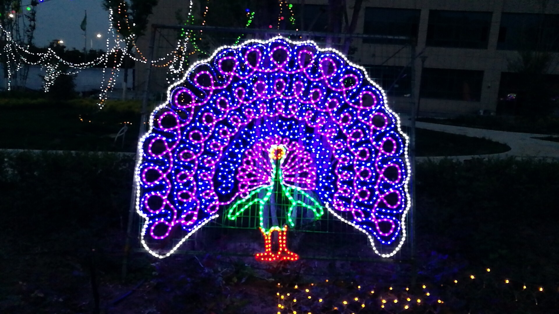 蘭州新區(qū)拉斯維加斯游戲3499世貿(mào)廣場“花漾燈光藝術(shù)節(jié)”歡迎你！